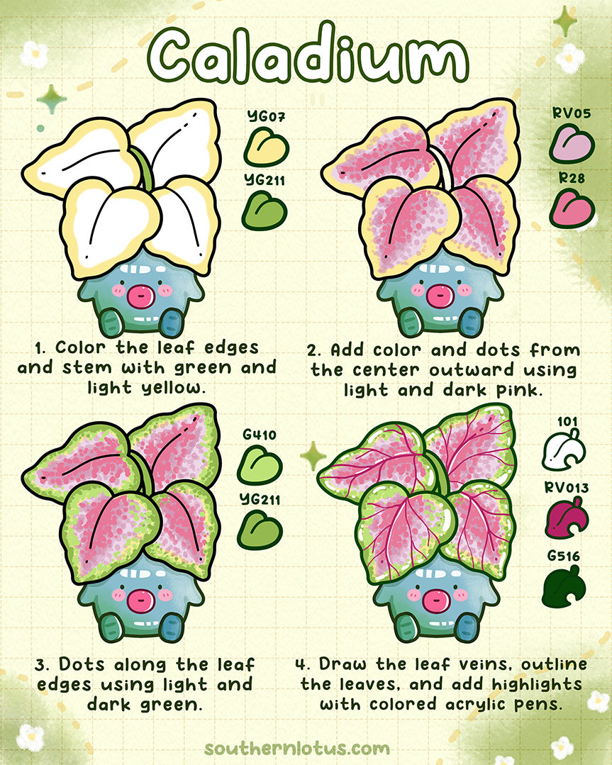 Caladium tropical plant coloring tutorial
