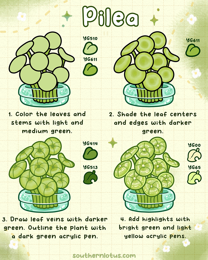 Pilea tropical plant coloring tutorial