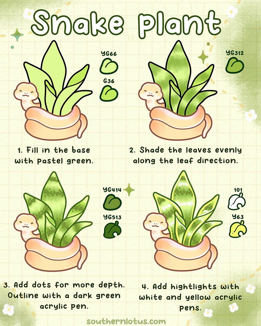 Snake plant tropical plant coloring tutorial